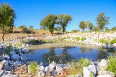Parque Alcobendas